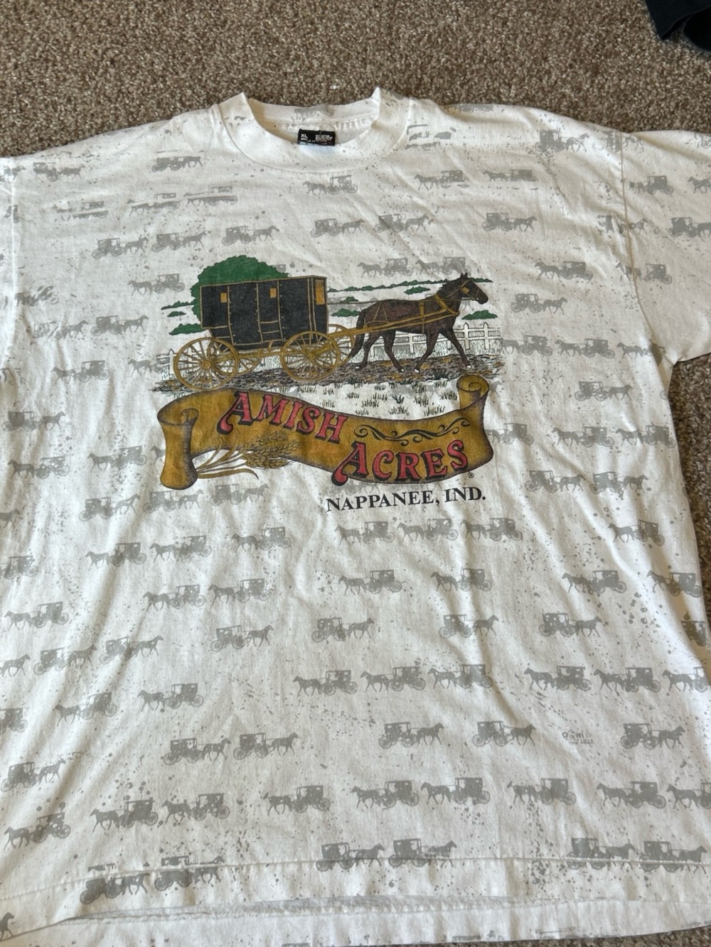 Amish Acres White Graphic T-Shirt - Nappanee, IN